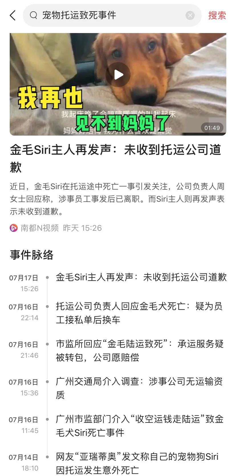 金毛Siri之死引发全网铲屎官愤怒：宠物的生命需要尊重！