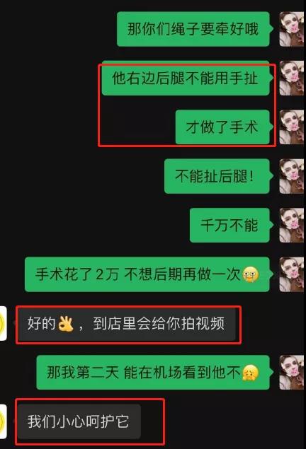 金毛Siri之死引发全网铲屎官愤怒：宠物的生命需要尊重！