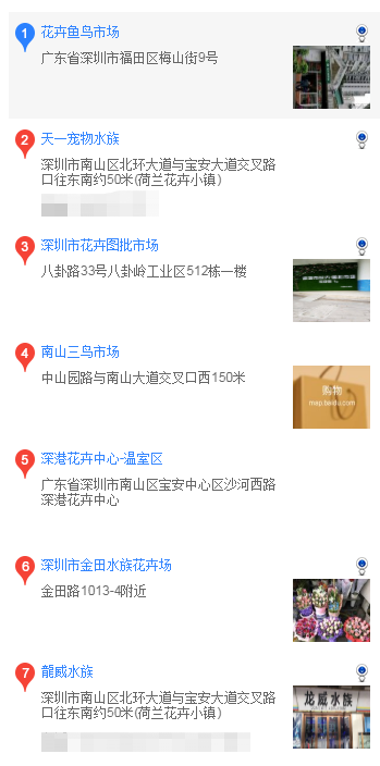 泰迪在哪里买 泰迪在什么地方购买