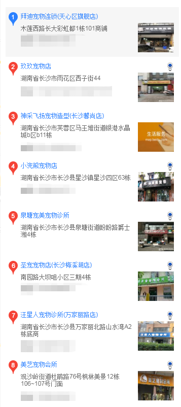 长沙买泰迪 在长沙什么地方买泰迪