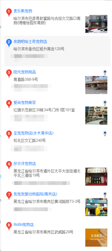 哈尔滨买泰迪 哈尔滨怎么买泰迪