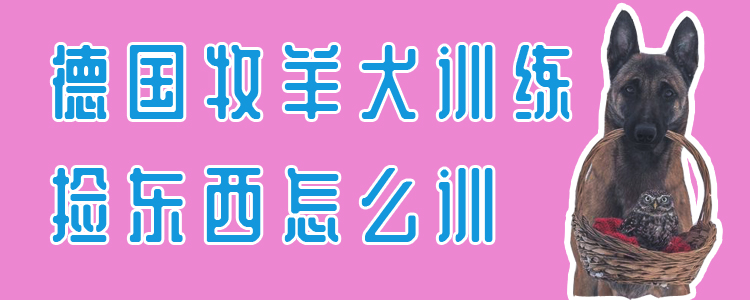 德国牧羊犬训练捡东西怎么训