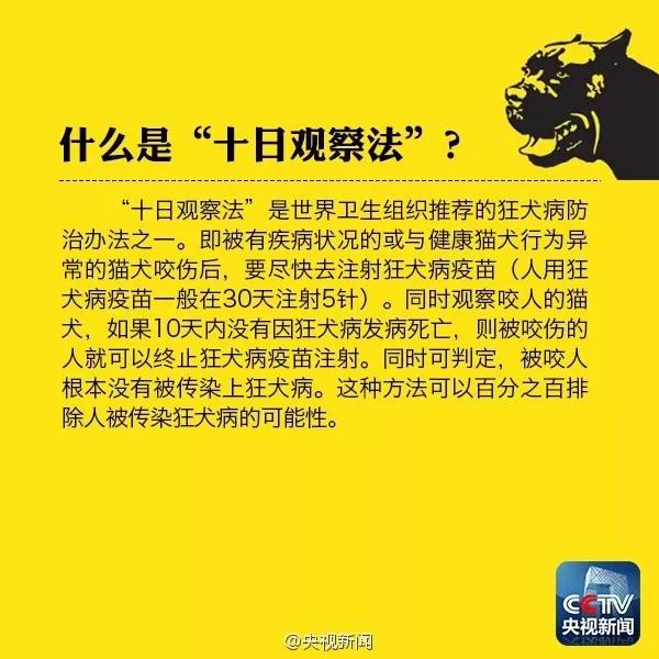 小狗抓了一道红印子要打针吗 如何判断？