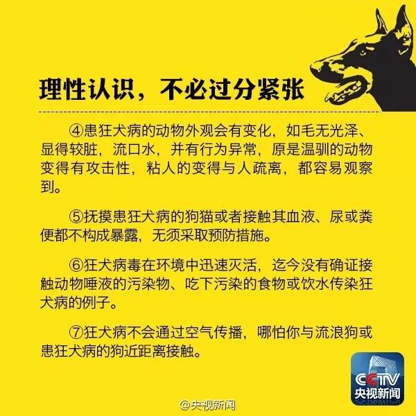 狗咬了多久过安全期没有打针 十日观察法有效吗狗咬了多久过安全期没有打针 十日观察法有效吗