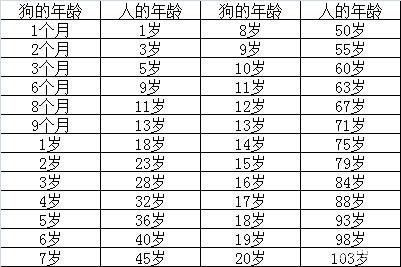 博美犬八个月相当于人的多少岁 你知道狗和人的年龄换算吗博美犬八个月相当于人的多少岁 你知道狗和人的年龄换算吗博美犬八个月相当于人的多少岁 你知道这些年龄换算吗