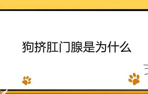 狗挤肛门腺是为什么