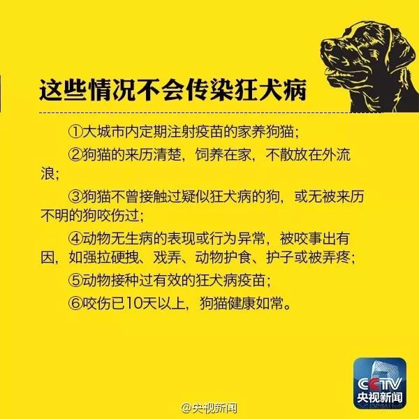 猫抓伤的死亡率 理性看到狂犬病