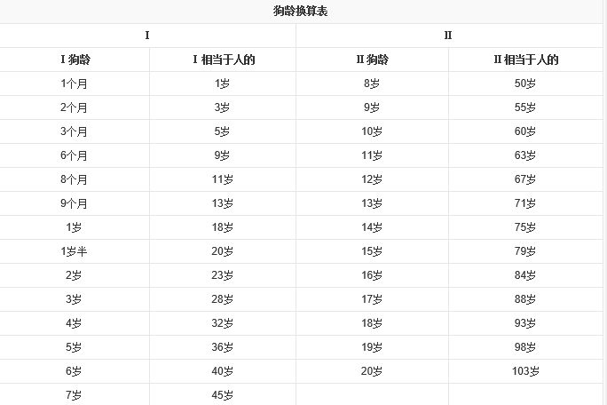 狗6岁相当于人多少岁